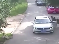 Un tigre attaque une femme sortie de sa voiture pendant un safari
