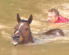 Ils risquent leur vie pour sauver des chevaux piégés dans une rivière en crue