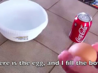 Un oeuf dans Coca Cola, une expérience énorme