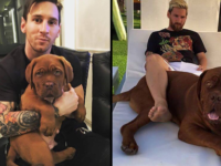 Le chien de Messi bientôt plus grand que son maître?