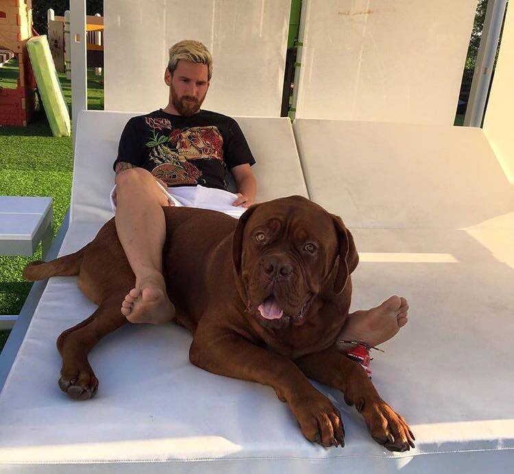 Lionel Messi et son chien après…