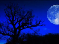 Super Lune bleue de sang à observer la nuit du 31 janvier