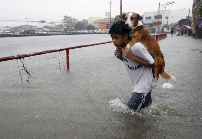 Un enfant protège son chien pour traverser les eaux après la mousson aux Philippines