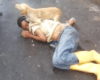 Ce chien protège son maître ivre endormi au milieu de la route