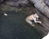 Ils sauvent la vie d’un chien tombé dans un puits et sur le bord de se noyer