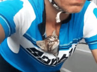 Un cycliste transporte un chaton orphelin dans son t-shirt