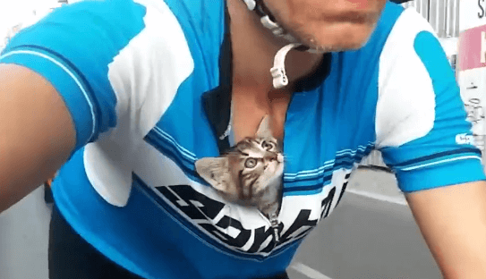 Un cycliste transporte un chaton orphelin dans son t-shirt