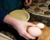 Un œuf de poule contient un second œuf de poule !