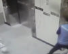 Un livreur sauve un chien qui allait se faire pendre par un ascenseur.