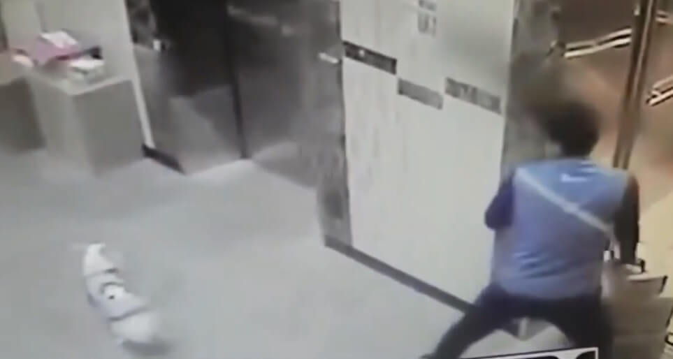 Un livreur sauve un chien qui allait se faire pendre par un ascenseur.
