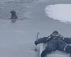 Ils sauvent un chien pris au piège dans la glace sur un lac gelé !