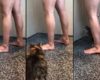 Un homme réussit à attirer une chatte sous sa douche sans vouloir se déranger