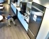 Un employé accusé de fraude à l'assurance, il tombe après avoir jeté des glaçons au sol