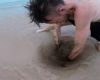 VIDÉO : Poisson étrange qui se cache sous le sable
