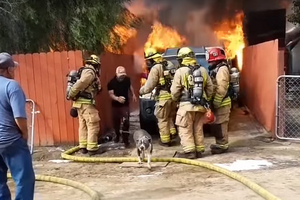 Il risque sa vie pour sauver son pit-bull dans sa maison engloutie par les flammes