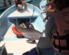 Un dauphin saute dans un bateau rempli de touristes au Mexique