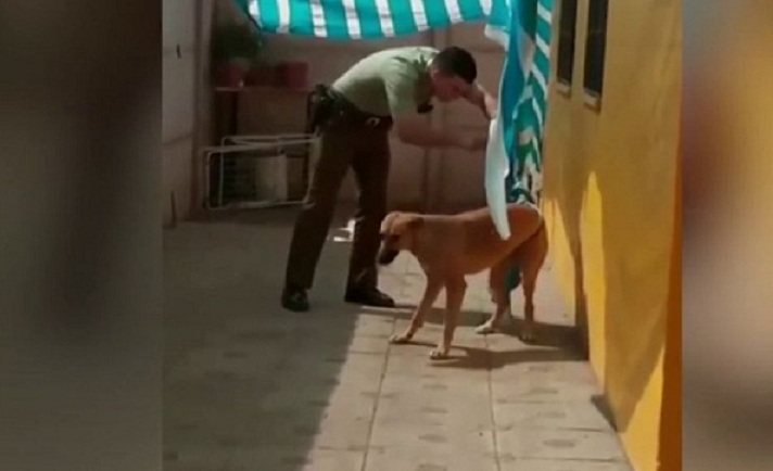 Un policier vient libérer un chien qui pleure pris au piège dans le tissu d'un auvent
