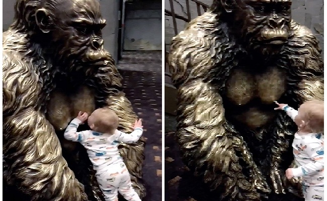 Un bébé essaie d'allaiter à partir d'une statue de gorille