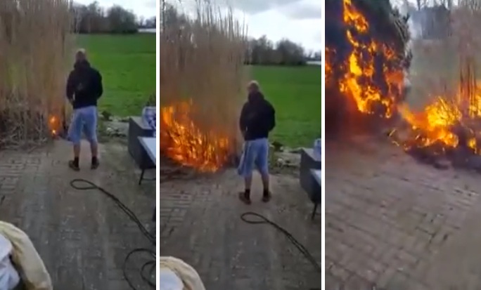 Il brûle un arbre desséché dans son jardin. Mauvaise idée