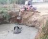 Un bébé éléphant et sa mère tentent désespérément de sortir d'un puits abandonné
