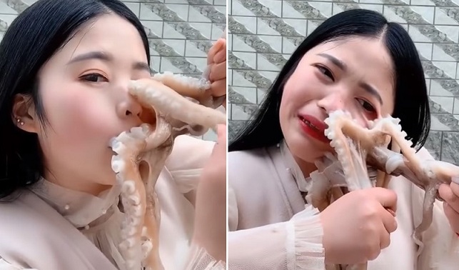 Elle tente de manger un poulpe vivant mais il lui colle au visage