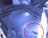 Un alligator attaque un couple dans une piscine d'un hôtel