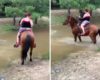Un couple sur le dos d'un cheval tente de traverser une rivière !