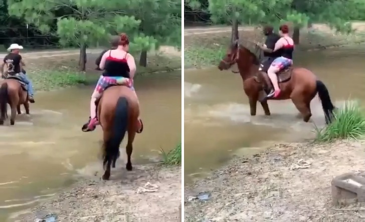 Un couple sur le dos d'un cheval tente de traverser une rivière !