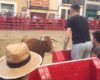 Un taureau attaque un homme derrière la barrière