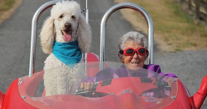 Une femme de 90 ans refuse la chimio et part à l’aventure avec son Caniche