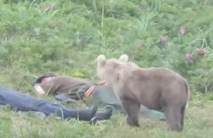 Un ourson curieux surprend deux pêcheurs endormis