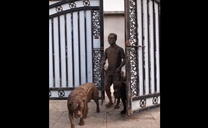 Ce jeune homme rentre d’une promenade mouvementée avec ses chiens