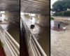 Une femme veut absolument rouler en voiture sous un pont inondé (Var)