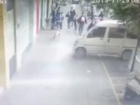 Un automobiliste a été pris en flagrant délit en train de voler un chien sur un trottoir