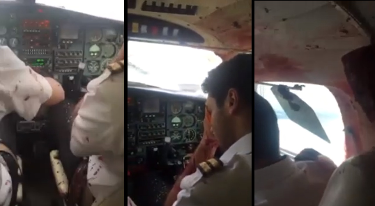 Un oiseau explose le pare-brise d'un avion et provoque un atterrissage d'urgence
