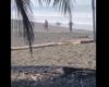La police ouvre le feu sur un surfeur qui ne respecte pas le confinement