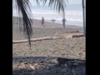 La police ouvre le feu sur un surfeur qui ne respecte pas le confinement