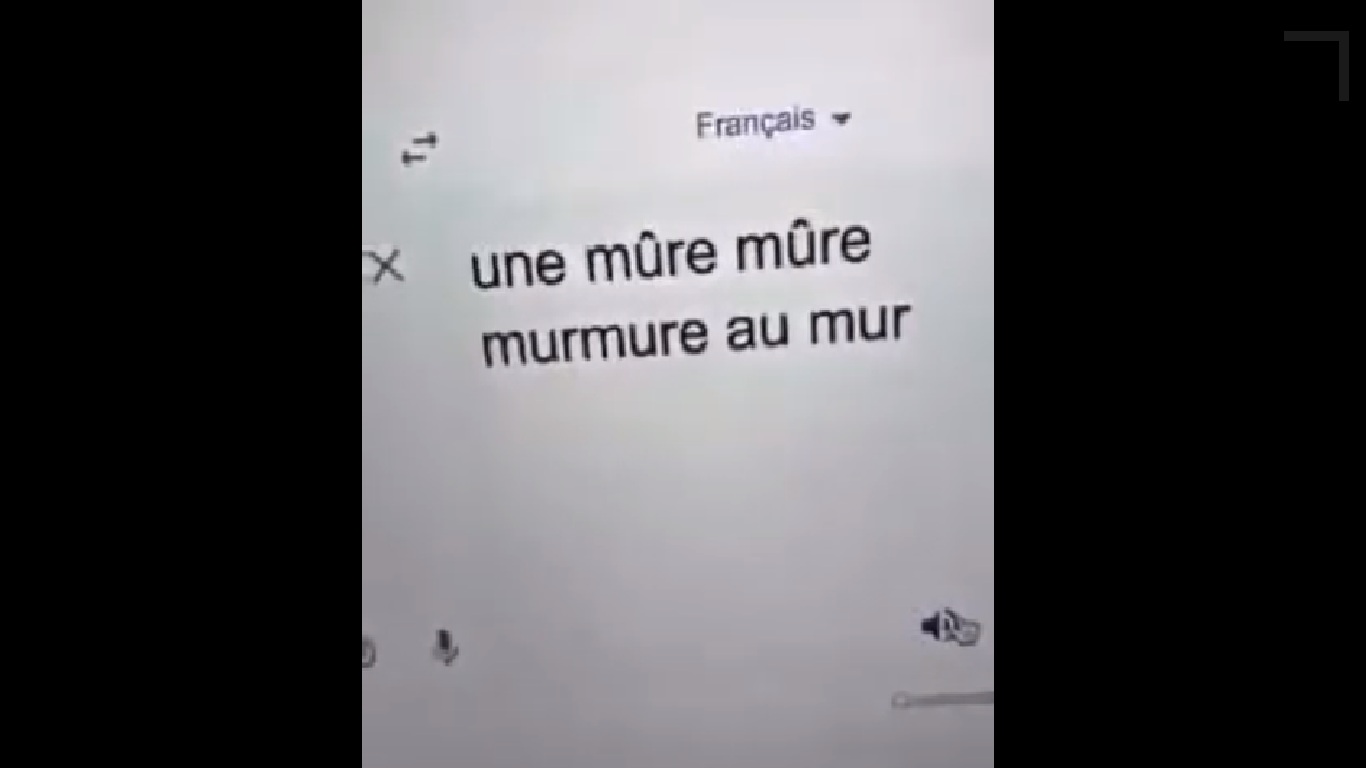 Quand vous apprenez le français en utilisant google traduction