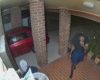 Des voleurs reçoivent une petite surprise, après avoir essayé de pénétrer dans une maison